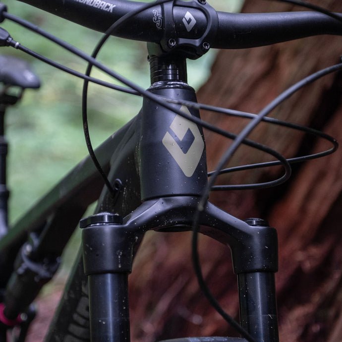 Bicycle headbadge detail in the forest