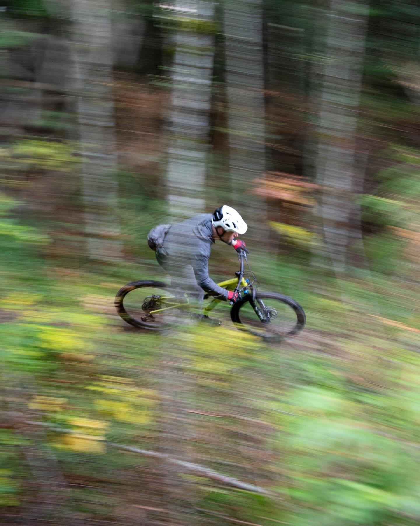 Instagram feed: motion rider in forest