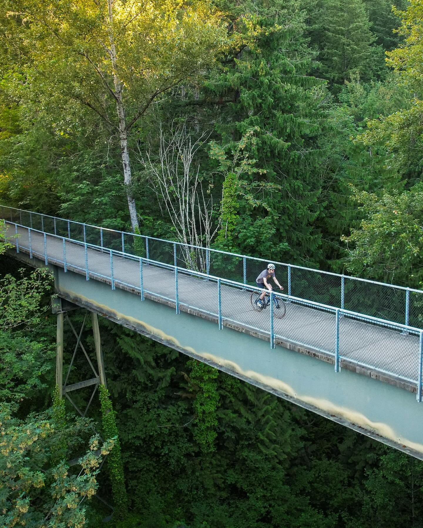 Instagram feed: rider on bridge