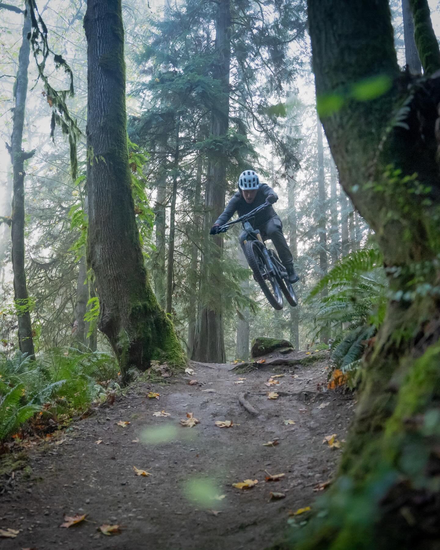 Instagram feed: forest jump rider